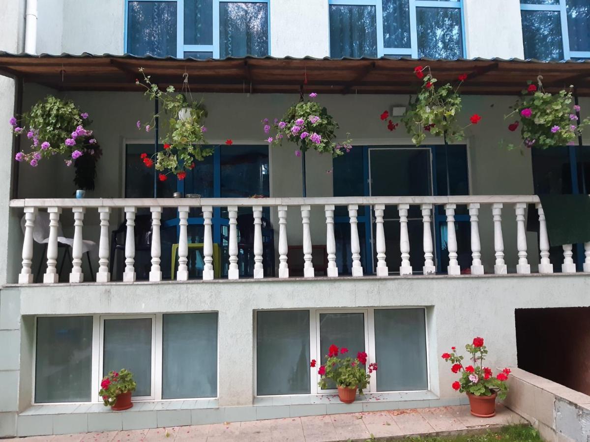 Hotel Casa Albastra Drumu Carului Exterior foto